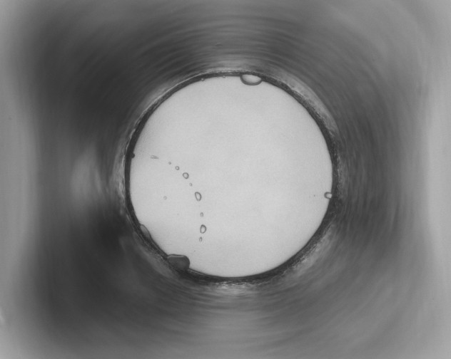 X0000100940842200807221156