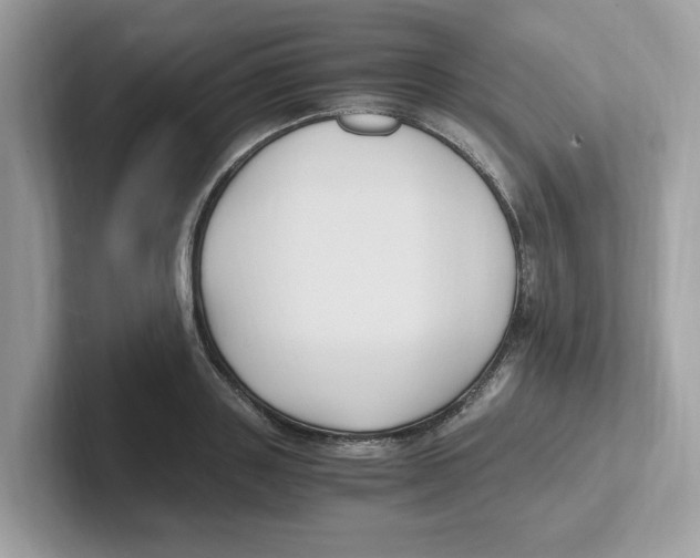 X0000100940843200807221156