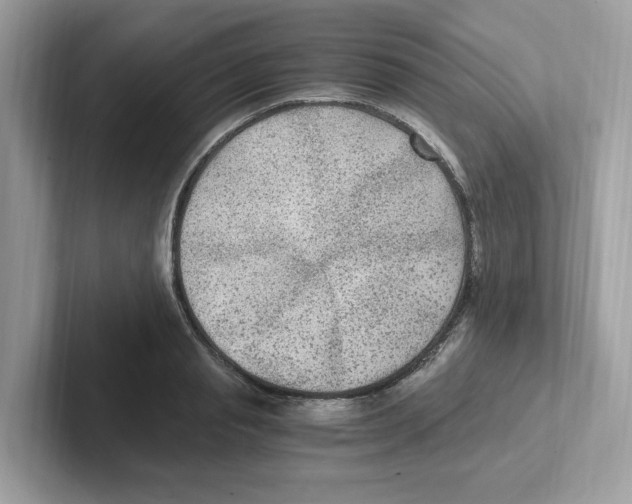 X0000100940845200807221156