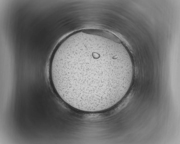 X0000100940846200807221156