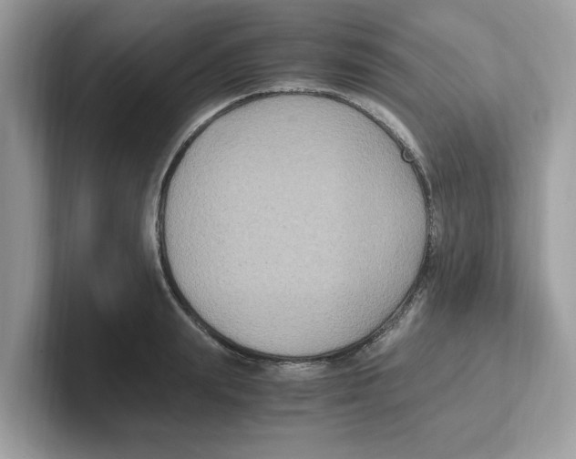 X0000100940847200807221156