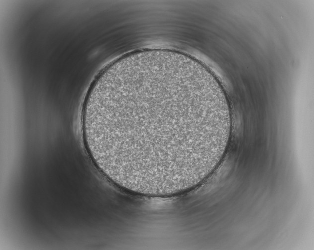 X0000100940848200807221156