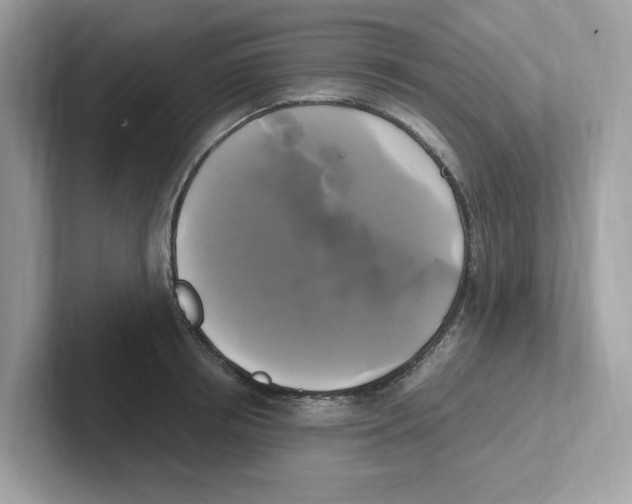 X0000100940850200807221156