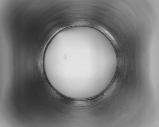 X0000100940852200807221156