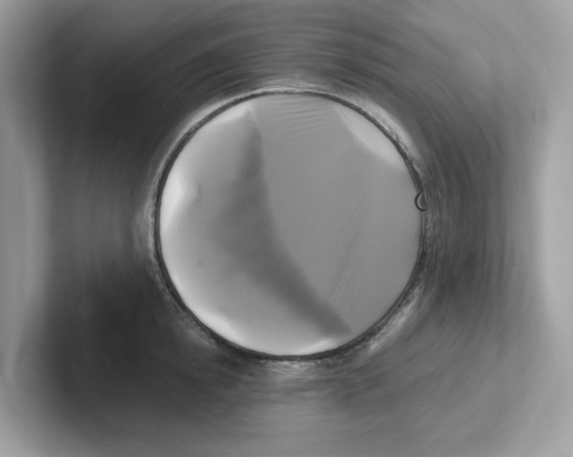 X0000100940854200807221156