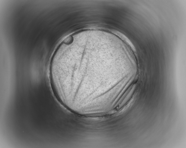 X0000100940855200807221156