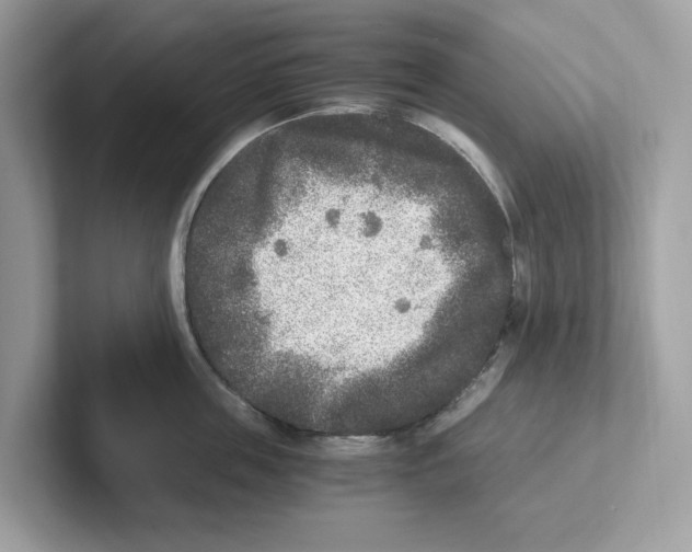 X0000100940859200807221156