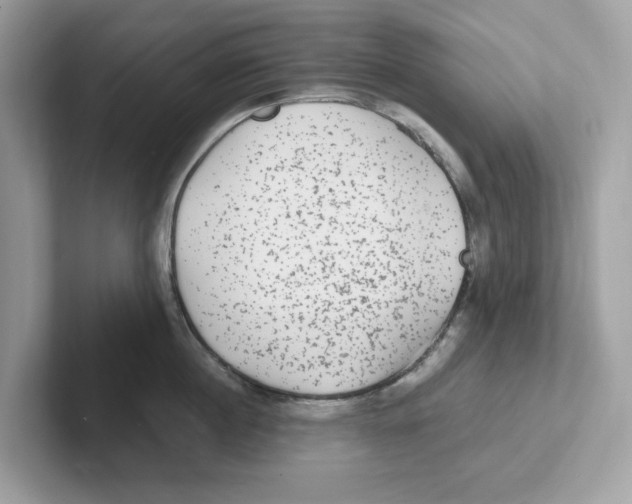 X0000100940860200807221156