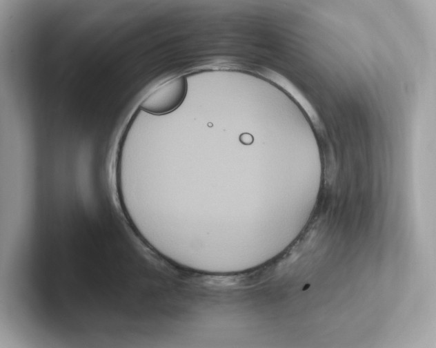 X0000100940861200807221156