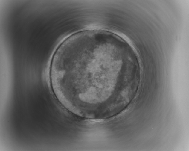 X0000100940864200807221156