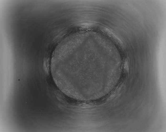 X0000100940868200807221155