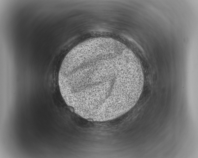 X0000100940870200807221155