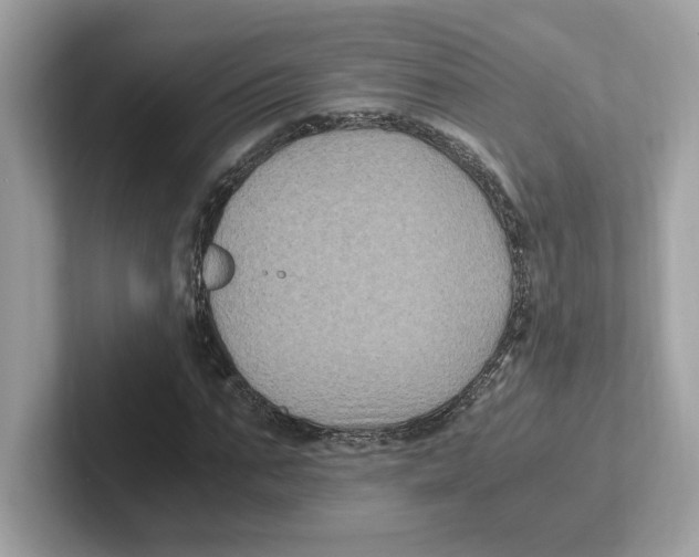 X0000100940871200807221155