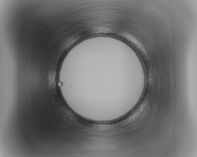 X0000100940873200807221155