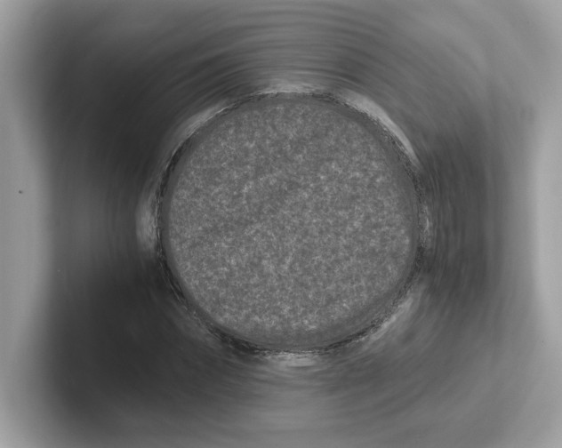 X0000100940874200807221155