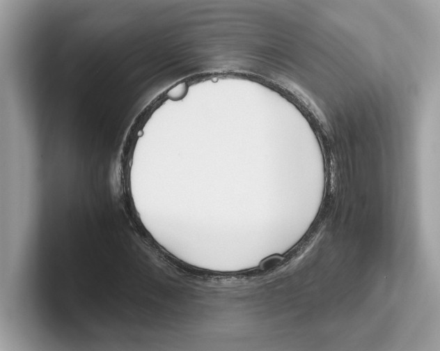 X0000100940876200807221155