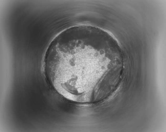 X0000100940879200807221155