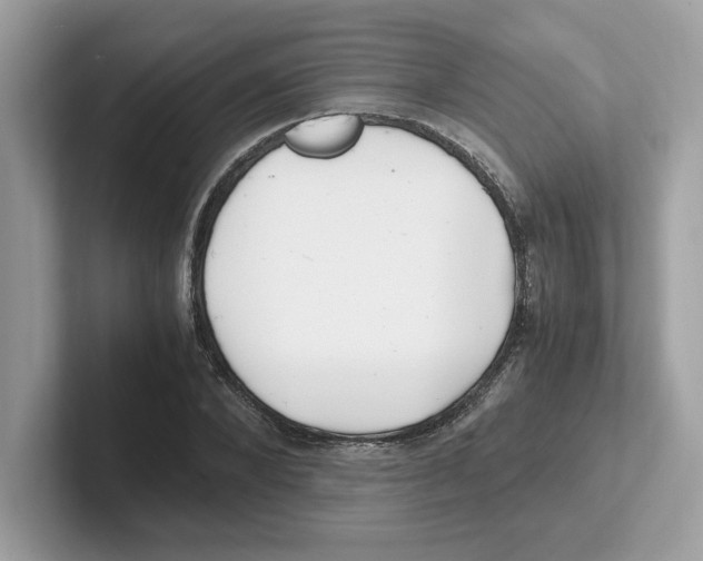 X0000100940880200807221155