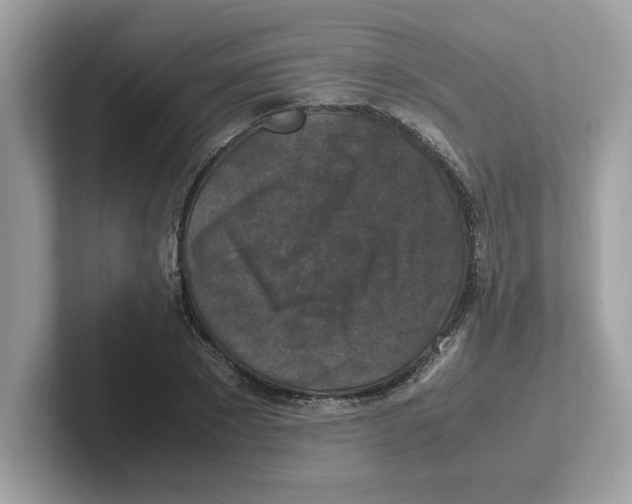 X0000100940881200807221155