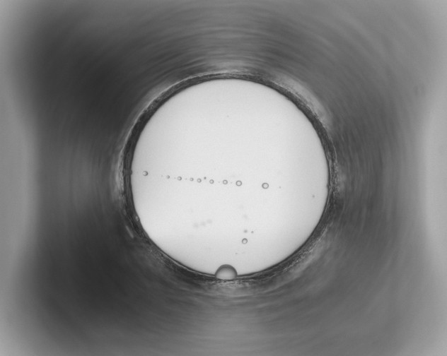 X0000100940883200807221155