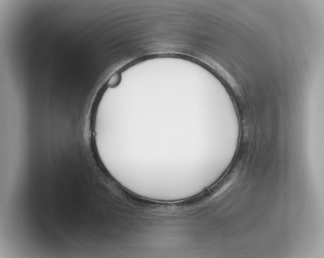 X0000100940885200807221155