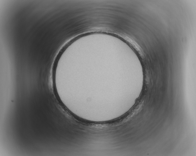 X0000100940888200807221155