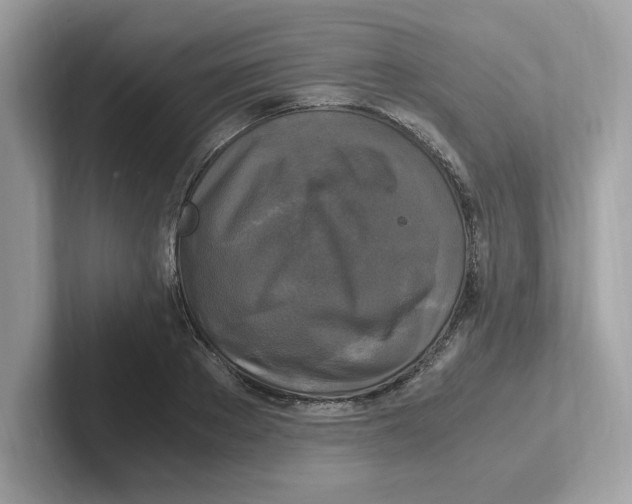 X0000100940889200807221155