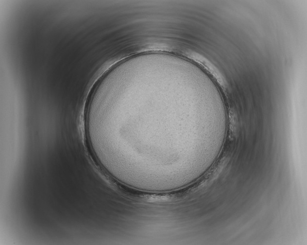 X0000100940890200807221155