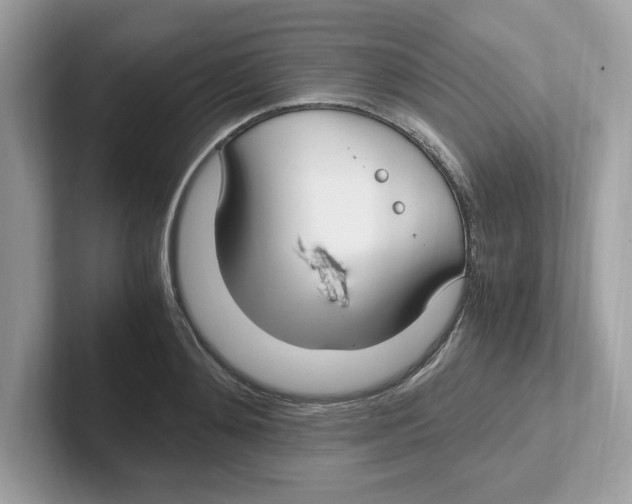 X0000100940892200807221155