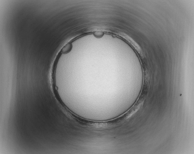 X0000100940893200807221155