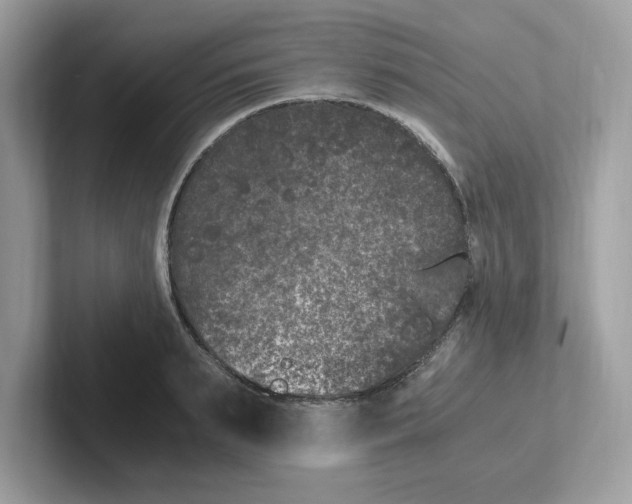 X0000100940895200807221155