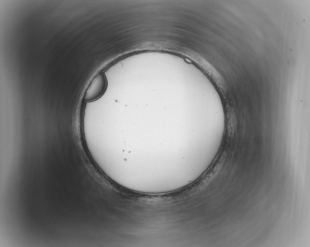 X0000100940896200807221155