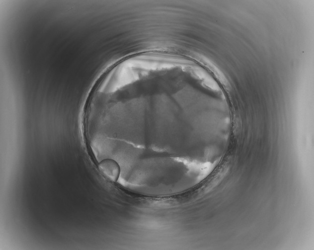 X0000100940899200807221155