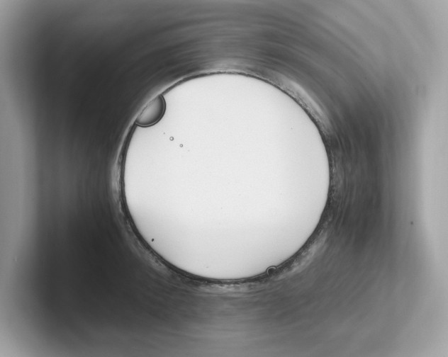 X0000100940900200807221155