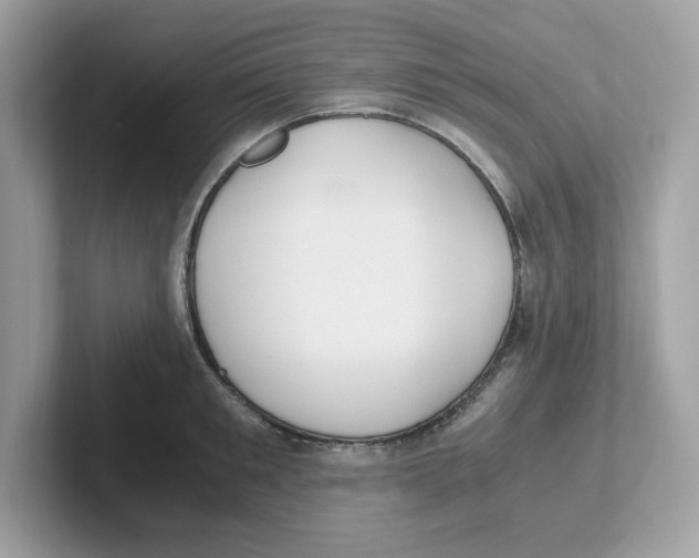 X0000100940901200807221155