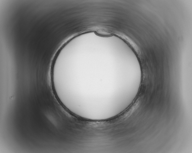 X0000100940902200807221155