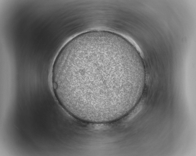 X0000100940903200807221155