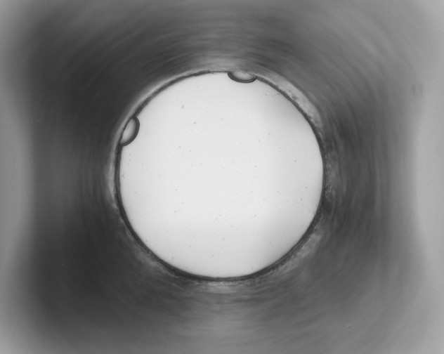 X0000100940904200807221155