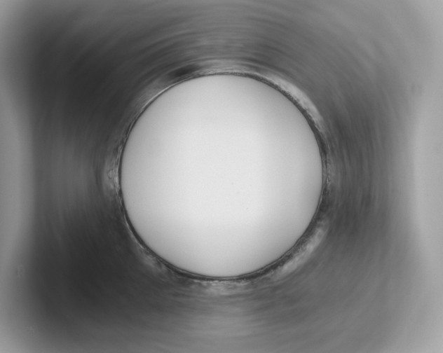 X0000100940905200807221155