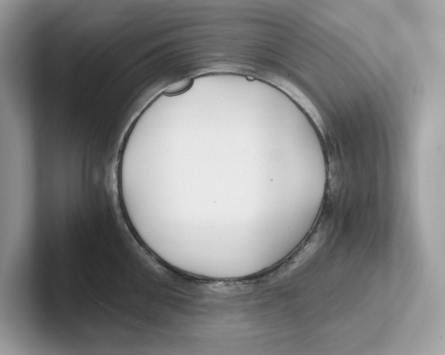 X0000100940906200807221155