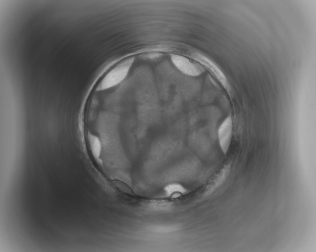 X0000100940907200807221155