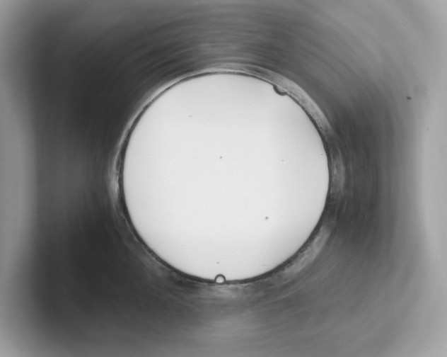 X0000100940908200807221155