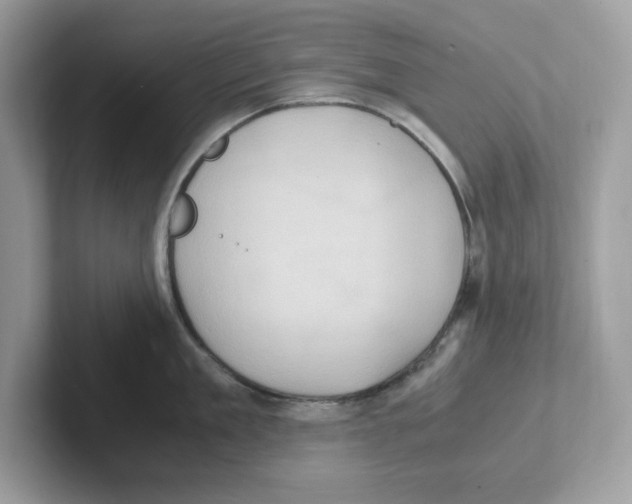 X0000100940909200807221155