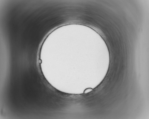 X0000100940912200807221155