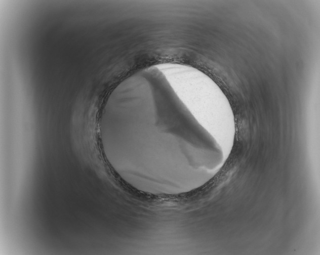 X0000100940913200807221154