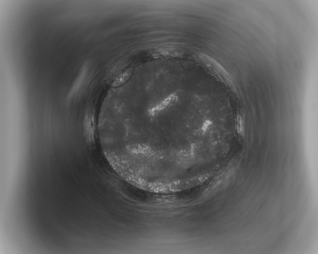 X0000100940915200807221154