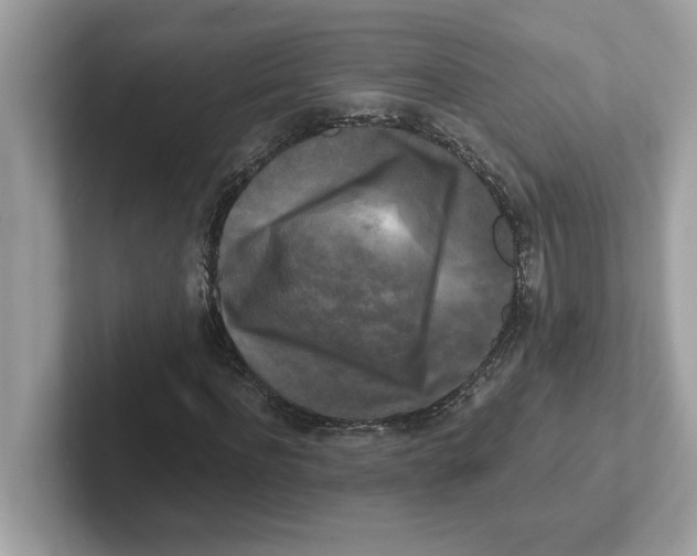 X0000100940916200807221154