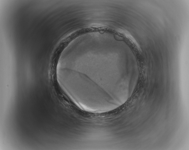 X0000100940920200807221154