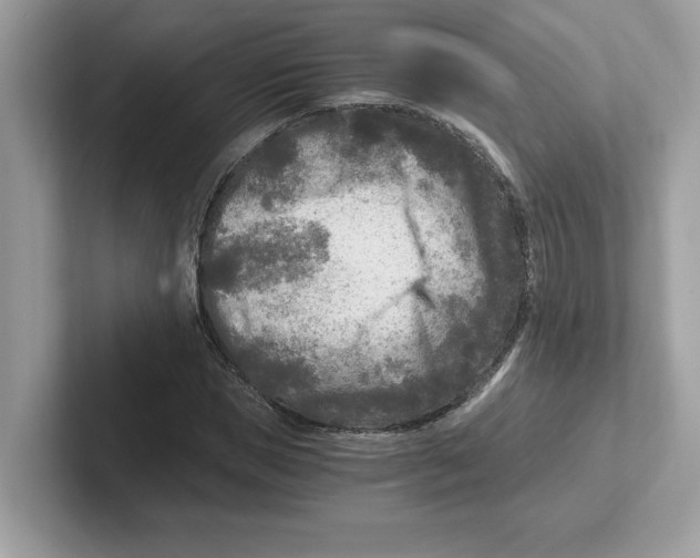 X0000100940921200807221154