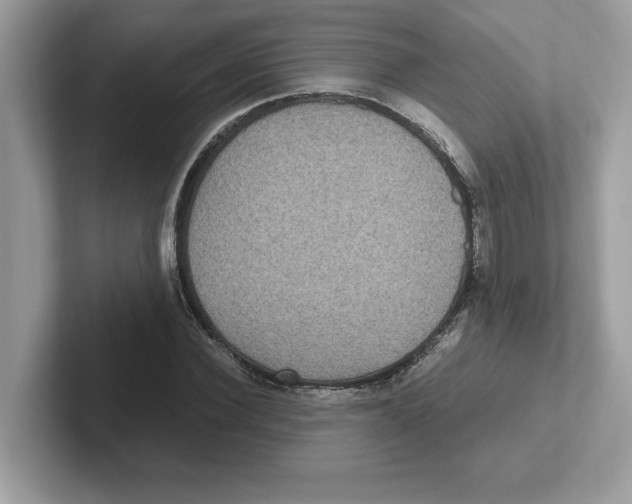 X0000100940924200807221154